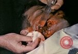 Image of wounded Marine Iwo Jima, 1945, second 17 stock footage video 65675077473