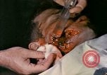 Image of wounded Marine Iwo Jima, 1945, second 18 stock footage video 65675077473