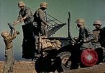 Image of United States Marine Iwo Jima, 1945, second 32 stock footage video 65675077475