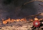 Image of United States Marine Iwo Jima, 1945, second 41 stock footage video 65675077476