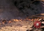 Image of United States Marine Iwo Jima, 1945, second 51 stock footage video 65675077476