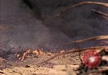 Image of United States Marine Iwo Jima, 1945, second 54 stock footage video 65675077476