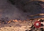 Image of United States Marine Iwo Jima, 1945, second 55 stock footage video 65675077476