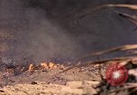 Image of United States Marine Iwo Jima, 1945, second 56 stock footage video 65675077476