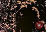 Image of United States Marines Bougainville Island Papua New Guinea, 1944, second 3 stock footage video 65675077479