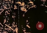 Image of United States Marines Bougainville Island Papua New Guinea, 1944, second 5 stock footage video 65675077479