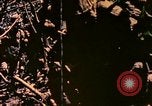 Image of United States Marines Bougainville Island Papua New Guinea, 1944, second 6 stock footage video 65675077479