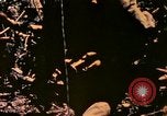 Image of United States Marines Bougainville Island Papua New Guinea, 1944, second 7 stock footage video 65675077479