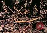 Image of United States Marines Bougainville Island Papua New Guinea, 1944, second 12 stock footage video 65675077479