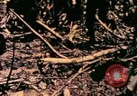 Image of United States Marines Bougainville Island Papua New Guinea, 1944, second 13 stock footage video 65675077479