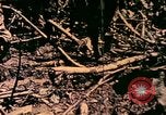Image of United States Marines Bougainville Island Papua New Guinea, 1944, second 14 stock footage video 65675077479