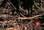 Image of United States Marines Bougainville Island Papua New Guinea, 1944, second 18 stock footage video 65675077479