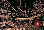 Image of United States Marines Bougainville Island Papua New Guinea, 1944, second 19 stock footage video 65675077479