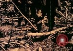 Image of United States Marines Bougainville Island Papua New Guinea, 1944, second 21 stock footage video 65675077479