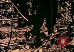 Image of United States Marines Bougainville Island Papua New Guinea, 1944, second 22 stock footage video 65675077479