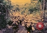Image of United States Marines Bougainville Island Papua New Guinea, 1944, second 26 stock footage video 65675077479