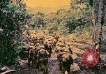 Image of United States Marines Bougainville Island Papua New Guinea, 1944, second 27 stock footage video 65675077479