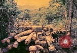 Image of United States Marines Bougainville Island Papua New Guinea, 1944, second 34 stock footage video 65675077479