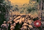 Image of United States Marines Bougainville Island Papua New Guinea, 1944, second 35 stock footage video 65675077479