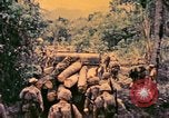 Image of United States Marines Bougainville Island Papua New Guinea, 1944, second 36 stock footage video 65675077479