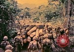 Image of United States Marines Bougainville Island Papua New Guinea, 1944, second 37 stock footage video 65675077479