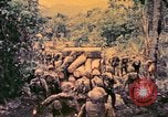 Image of United States Marines Bougainville Island Papua New Guinea, 1944, second 39 stock footage video 65675077479