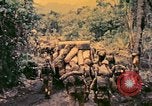 Image of United States Marines Bougainville Island Papua New Guinea, 1944, second 41 stock footage video 65675077479