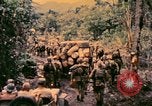 Image of United States Marines Bougainville Island Papua New Guinea, 1944, second 43 stock footage video 65675077479