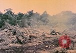 Image of United States Marines Bougainville Island Papua New Guinea, 1944, second 57 stock footage video 65675077479