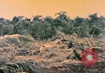 Image of United States Marines Bougainville Island Papua New Guinea, 1944, second 60 stock footage video 65675077479