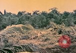 Image of United States Marines Bougainville Island Papua New Guinea, 1944, second 61 stock footage video 65675077479