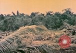 Image of United States Marines Bougainville Island Papua New Guinea, 1944, second 62 stock footage video 65675077479