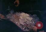 Standbild 3 Medizinischen Bataillon Okinawa Ryukyu Inseln, 1945, aus Sekunde 34 historischem Filmmaterial Videoclip 65675077482