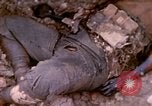 Image of M-7 tank Okinawa Ryukyu Islands, 1945, second 47 stock footage video 65675077491