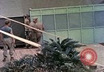 Image of United States Marines Okinawa Ryukyu Islands, 1945, second 55 stock footage video 65675077498
