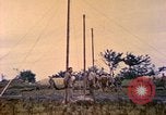 Standbild USA Soldaten Okinawa Ryukyu Inseln, 1945, aus Sekunde 6 historischem Filmmaterial Videoclip 65675077501