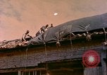 Image soldats des États-Unis Okinawa îles Ryukyu, 1945, de la seconde 61 séquences d'archives historiques vidéo 65675077502