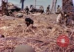 Image of natives Eniwetok Atoll Marshall Islands, 1944, second 5 stock footage video 65675077521