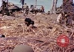 Image of natives Eniwetok Atoll Marshall Islands, 1944, second 6 stock footage video 65675077521