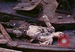 Image of dead soldiers Eniwetok Atoll Marshall Islands, 1944, second 12 stock footage video 65675077522