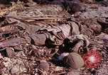 Image of dead soldiers Eniwetok Atoll Marshall Islands, 1944, second 23 stock footage video 65675077522