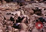 Image of dead soldiers Eniwetok Atoll Marshall Islands, 1944, second 24 stock footage video 65675077522