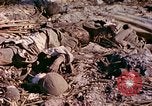 Image of dead soldiers Eniwetok Atoll Marshall Islands, 1944, second 25 stock footage video 65675077522