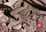 Image of dead soldiers Eniwetok Atoll Marshall Islands, 1944, second 30 stock footage video 65675077522