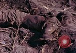 Image of dead soldiers Eniwetok Atoll Marshall Islands, 1944, second 32 stock footage video 65675077522