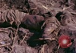 Image of dead soldiers Eniwetok Atoll Marshall Islands, 1944, second 33 stock footage video 65675077522