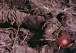 Image of dead soldiers Eniwetok Atoll Marshall Islands, 1944, second 34 stock footage video 65675077522