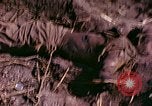 Image of dead soldiers Eniwetok Atoll Marshall Islands, 1944, second 35 stock footage video 65675077522