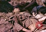 Image of dead soldiers Eniwetok Atoll Marshall Islands, 1944, second 37 stock footage video 65675077522