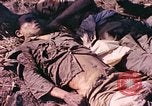Image of dead soldiers Eniwetok Atoll Marshall Islands, 1944, second 38 stock footage video 65675077522